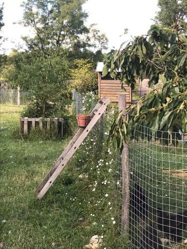 Bed & Breakfast Chez Gustave & Compagnie
