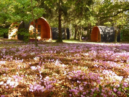 Cabanes Des Ch�teaux