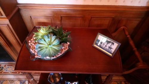 Bed & Breakfast Domaine Des Thomins