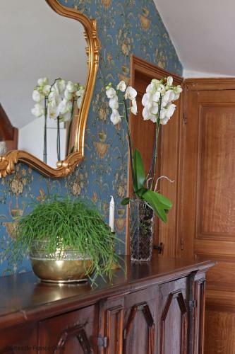 Bed & Breakfast Domaine Des Thomins