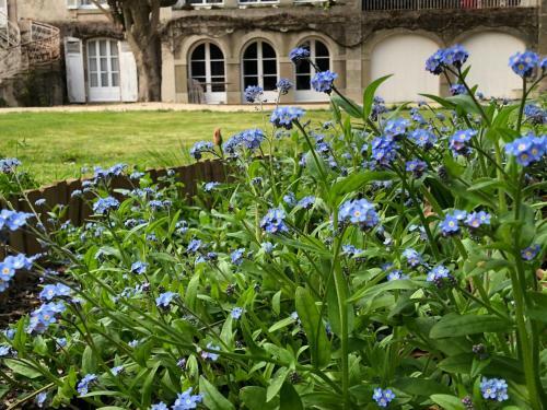 Hostal Au Rez De Jardin