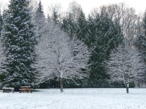 Lodge La Clairi�re Du Verbamont