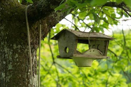 Lodge La Clairi�re Du Verbamont