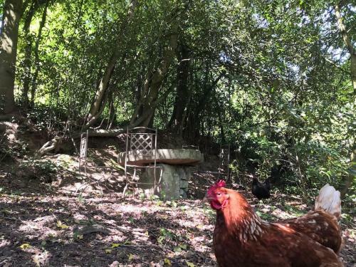 G�te De L'h�tre Enchant�