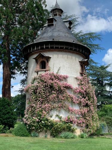Bed & Breakfast Orangerie De Chatel-selection Figaro & Elle Magazine