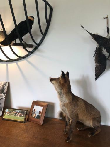 Bed & Breakfast Orangerie De Chatel-selection Figaro & Elle Magazine