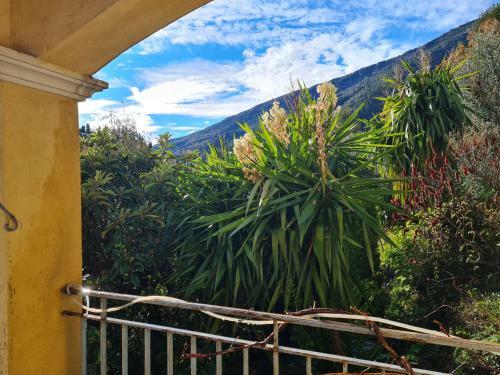 Bed & Breakfast Chambres D'h�tes Des Oliviers