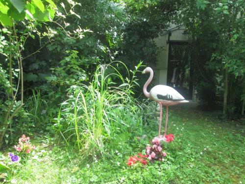 Apartamento Appart Jungle