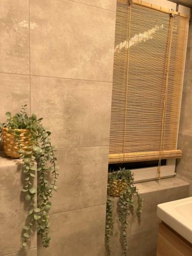 Apartamento Brzozowa Studio