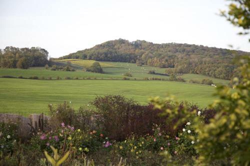 Bed & Breakfast Ferme Adrien