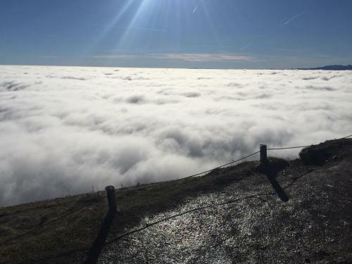 Charmant Gite De S�jour Le Gray