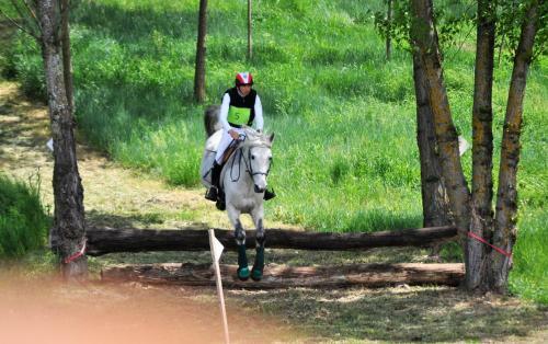 Charmant Gite De S�jour Le Gray