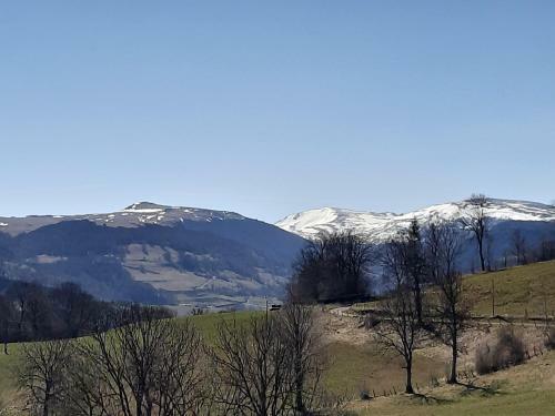 Maison Au C?ur Des Volcans