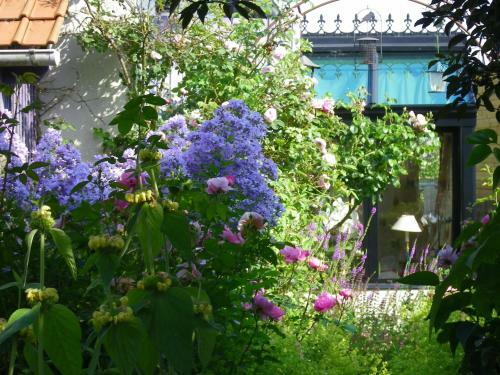Bed & Breakfast La Colline Des Roses