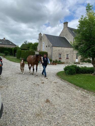 Hostal Ferme Du Loucel