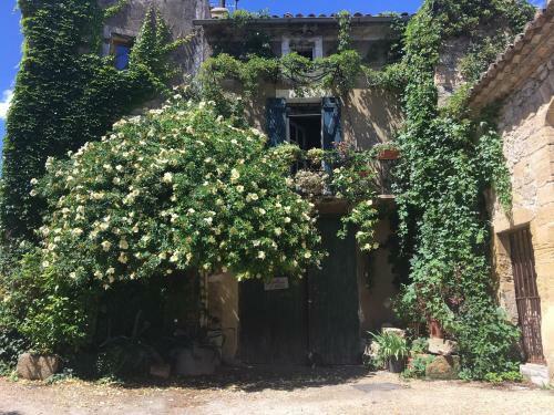 Bed & Breakfast Les Chambres D'elise