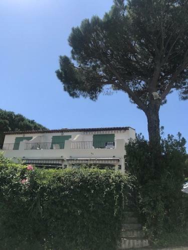 Apartamento Studio Bellevue