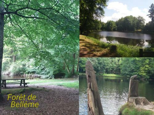 G�te Dans Le Perche, Le Panoramic