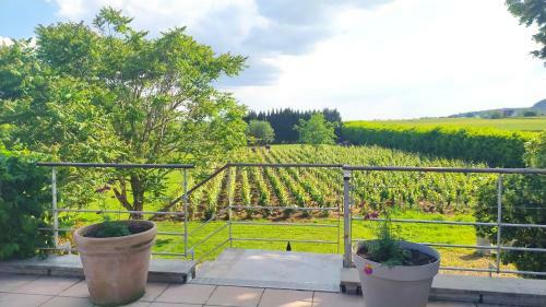Clos Des Chenevi�res, 3 �toiles