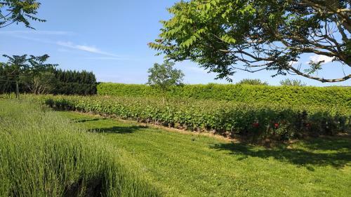 Clos Des Chenevi�res, 3 �toiles