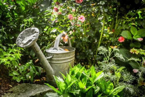 Bed & Breakfast La Maison D'idylle