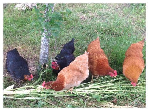 Bed & Breakfast A L'ombre Du Tilleul