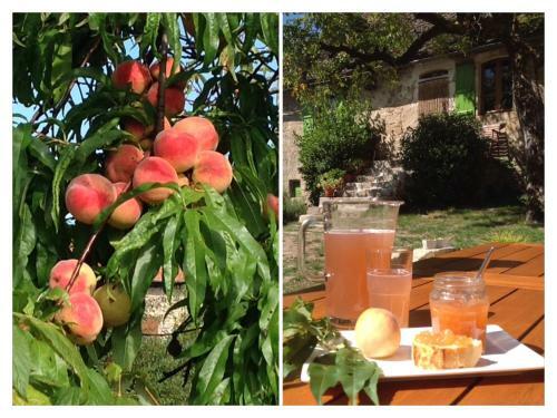 Bed & Breakfast A L'ombre Du Tilleul