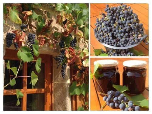 Bed & Breakfast A L'ombre Du Tilleul