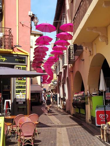 Apartamento Rocade De Collioure