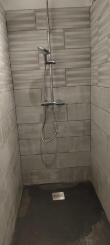 Maison de Vacances Avec Spa � Commequiers, 10 � 12 Personnes