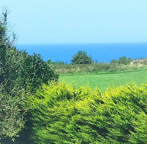 Maison En Bord De Mer