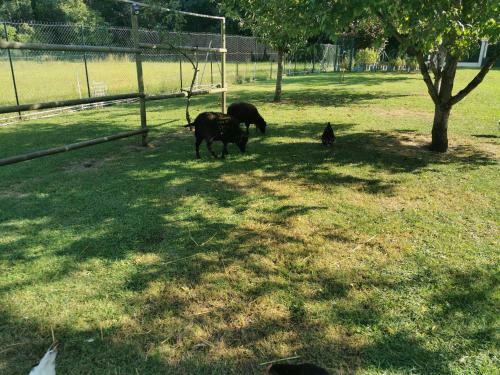 Bed & Breakfast Bienvenue Chez Nous