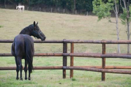 Bed & Breakfast La Carbonni�re