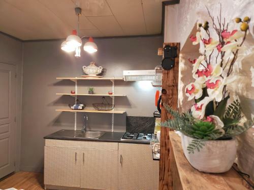Apartamento L'�l�phant Blanc De Concarnoloc