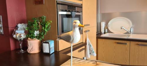 Apartamento Studio Les Trois Etoiles De Mer