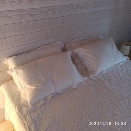 Hostal Une Tiny House � D�couvrir Au C?ur De La Cit� !