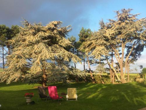 Bed & Breakfast Chambres D'h�tes "les Pins"