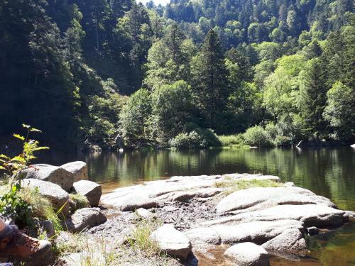 Apartamentos Le G�te Du Moulin