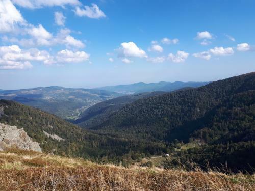 Apartamento Au Chasseur