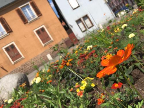 Apartamento Finala Colmar