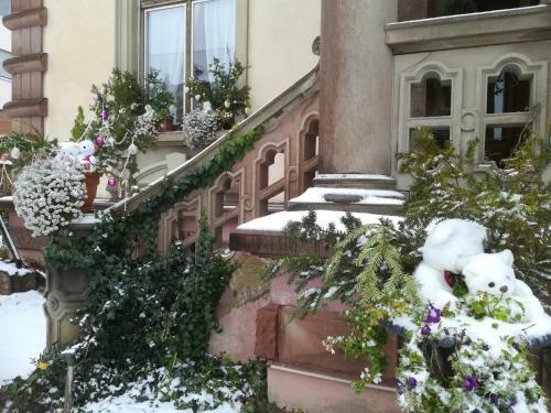 Hostal Castelnau