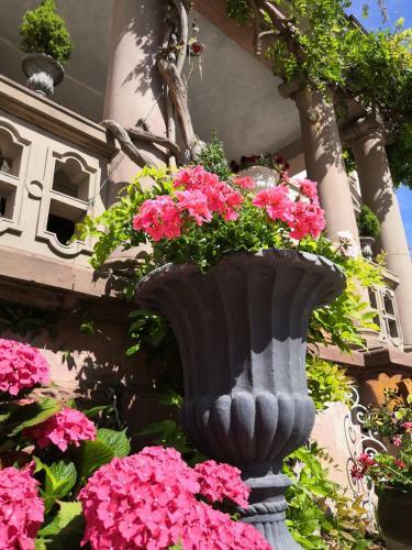 Hostal Castelnau