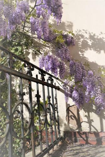 Hostal Castelnau