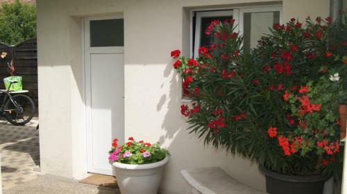 Apartamento Gite Casanou