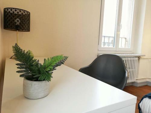 Apartamento Le XI - Suite Colmar Gare - Parking