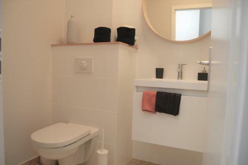 Apartamentos Le Voltaire Colmar Centre
