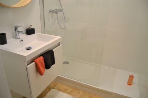 Apartamentos Le Voltaire Colmar Centre