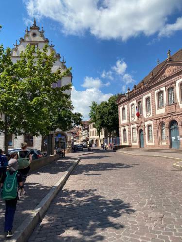 Apartamento Hello Colmar Luxury Petite Venise 7 Pers Parking Velos