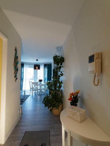 Apartamento Colmar Sweet Home