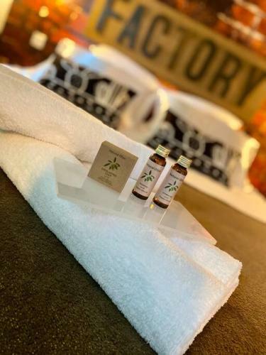 Apartamento Hyper Centre Colmar The Factory Room***